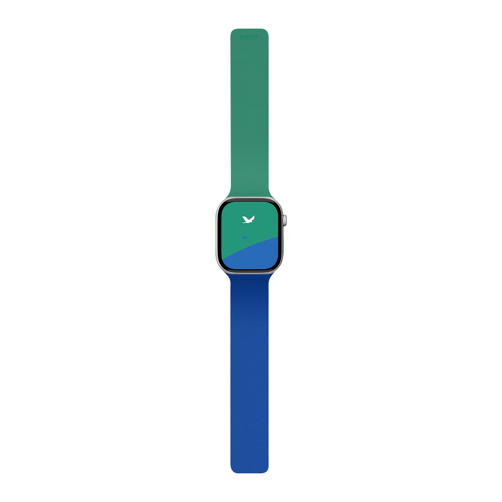 Ремешок MOFT Snap Duo Watch Band для Apple Watch синий+зелёный 40/41/42 мм