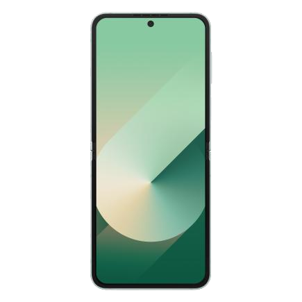 Смартфон Samsung Galaxy Z Flip6 12 ГБ | 512 ГБ (Мятный | Mint)
