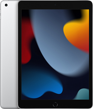 Планшет Apple iPad 2021 10.2 Wi-Fi + Cellular 256Gb (Серебристый)
